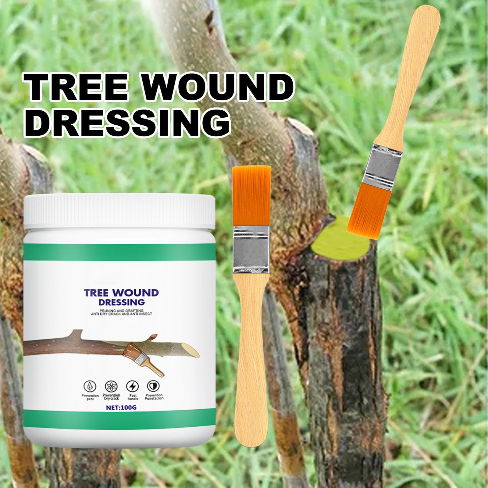 Paint Brush - Pruning Sealer 100g Protective Paste with