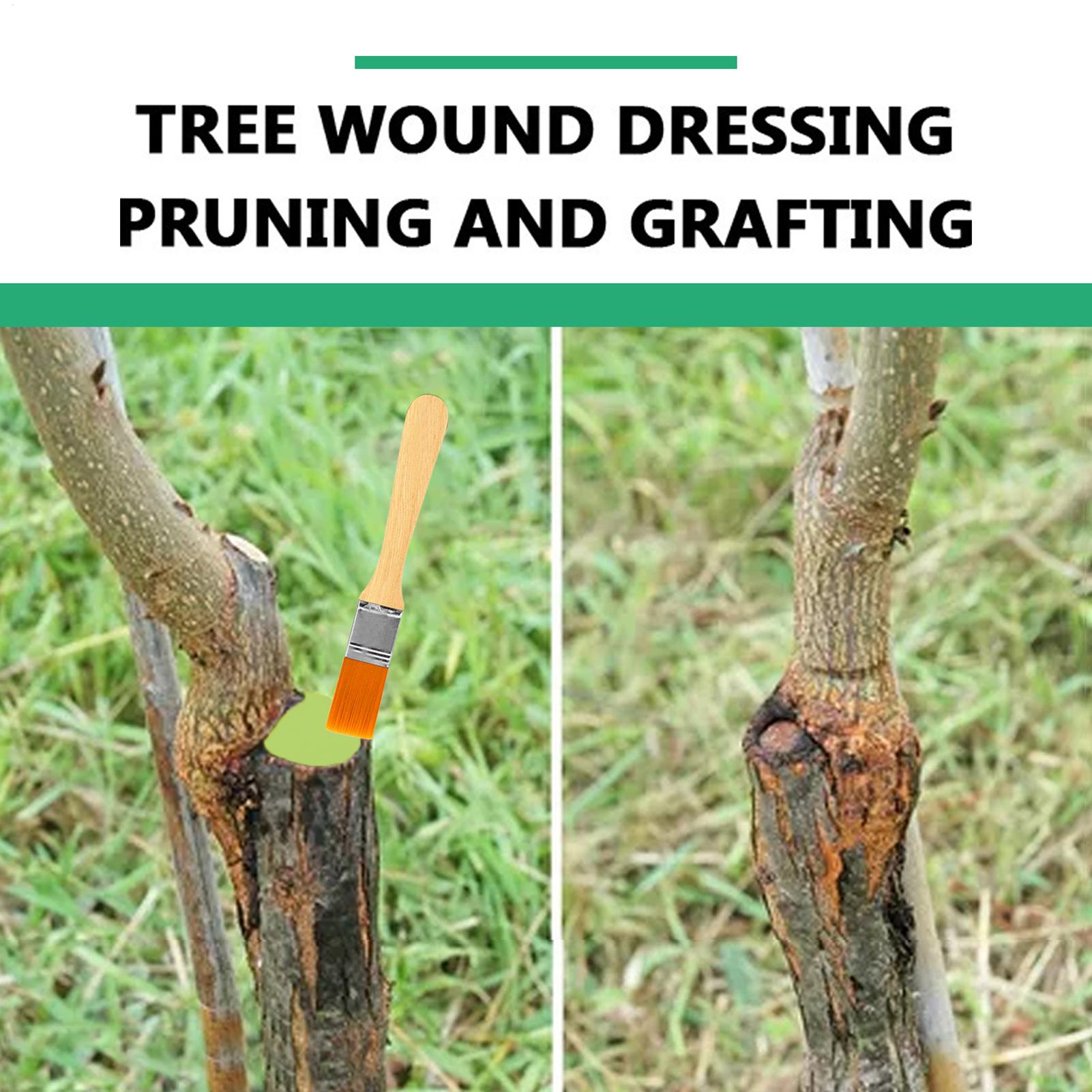 Pruning Sealer 100g Protective - đánh giá và giá Paint Brush