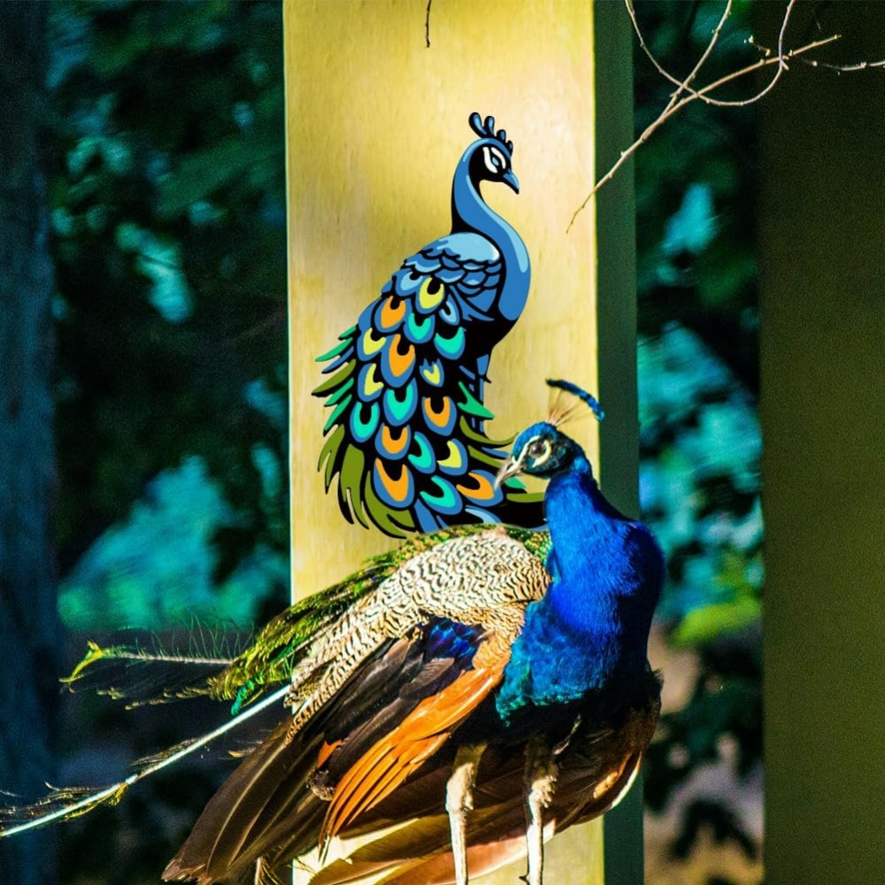 3Pcs Layered Peacock Stencils  - đánh giá và giá Paint Brush